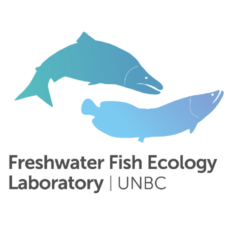Usf Cms Fish Ecology Lab Github - Creative 8K City Wallpapers | Free Download