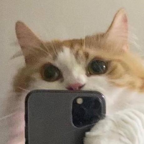 Github Violetta P Net Proj - Download Professional Nature Art | HD