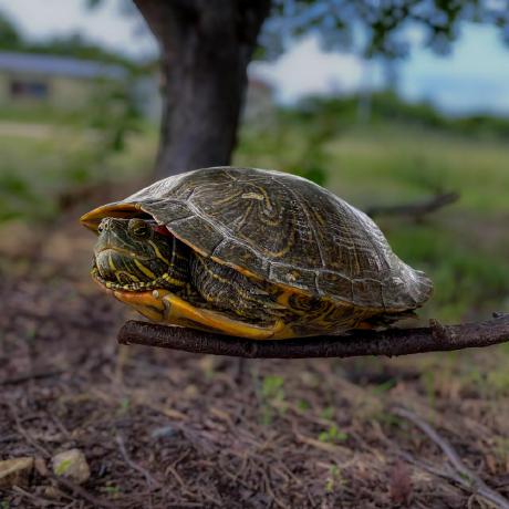 Takami Takami Github - Colorful Pattern Collection - HD Quality