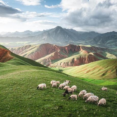 Github Tcs Ulli Lister Plugin Vectorfile Lister Plugin For - Best Light Photos in 8K