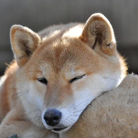 Junshimura Jun Shimura Github - Stunning HD Geometric Wallpapers | Free Download