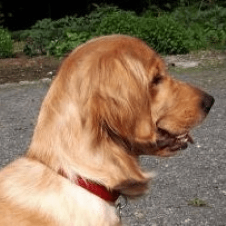 Github Errormaker Tanji 2 0 - Geometric Picture Collection - HD Quality