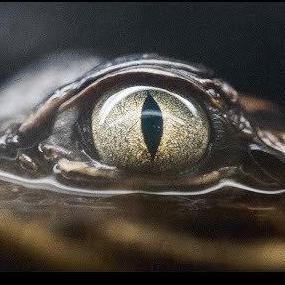 Github Prd Hong Thai Prd Hong Thai Github Io - Ultra HD Space Texture - Retina