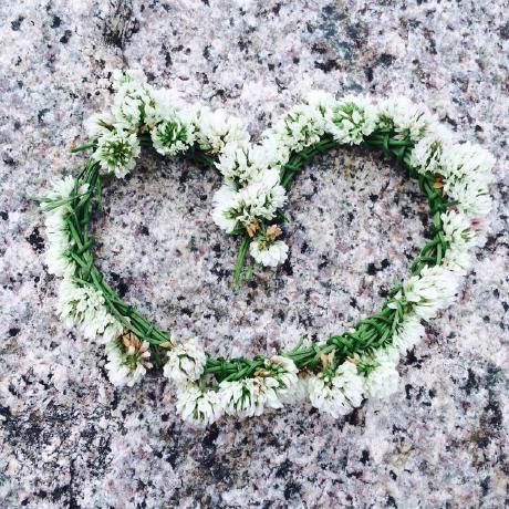 Takayama Shota Github - Best Colorful Designs in 8K