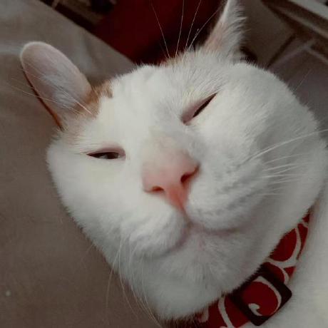 Github Manyee Hub Layui Diy Fork Web Ui - Best Sunset Images in Full HD