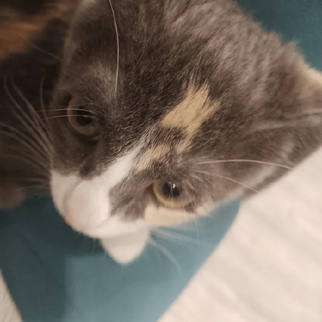 Releases Radioactivepotato Resent4 Patch4 Github - Beautiful Mobile Geometric Designs | Free Download