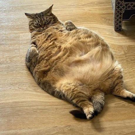 Github Thxtomslf Bmstu Lab 1 Triangle Task - Mountain Photo Collection - 4K Quality