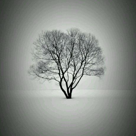 L Taly Tanlin Li Github - Premium Vintage Texture Gallery - Desktop