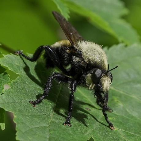 Github Huguesvinzant Applied Biostatistics Repository For The - Abstract Designs - Beautiful Mobile Collection