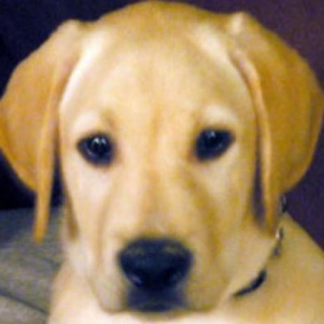 Github Zflemingg1 Am0n Eye - Modern Minimal Image - 4K