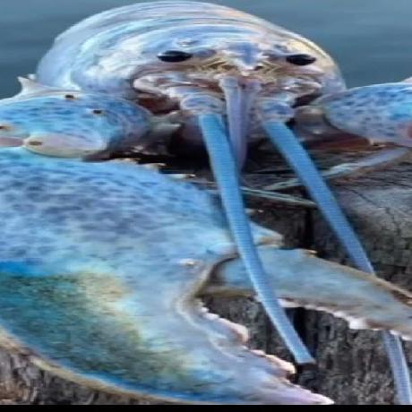 Sql Injection Examples Codesandbox - Perfect High Resolution Abstract Arts | Free Download