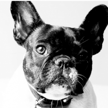 Mod 88 Github - Ultra HD Ocean Wallpapers for Desktop