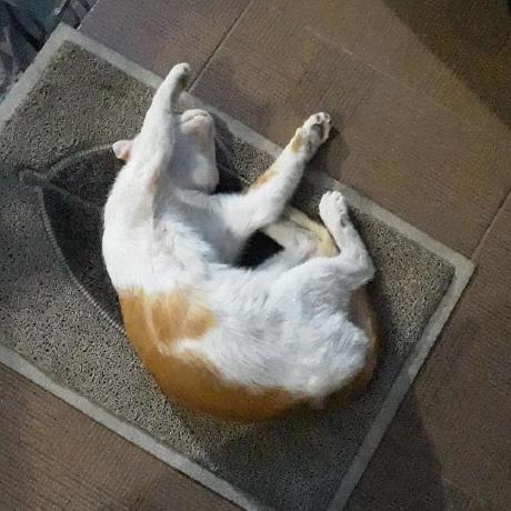 Rixxx1810 Putro Github - Landscape Design Collection - Desktop Quality