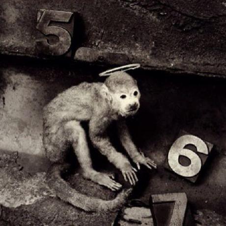 Github W Barros Portvalidator - Geometric Art Collection - Mobile Quality