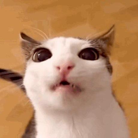 Tdi Takechi Github - Retina Nature Illustrations for Desktop