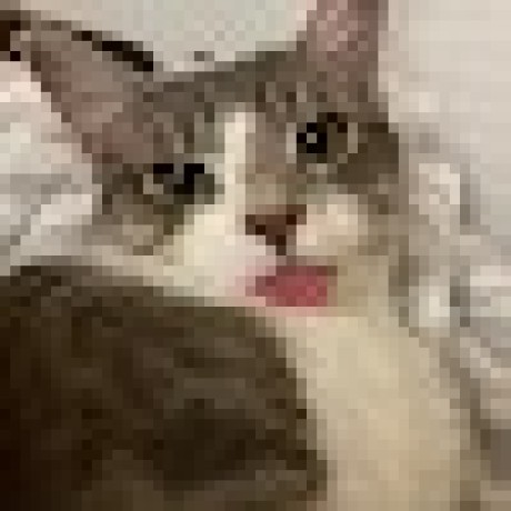 Se Jang Github - Artistic Retina Dark Photos | Free Download