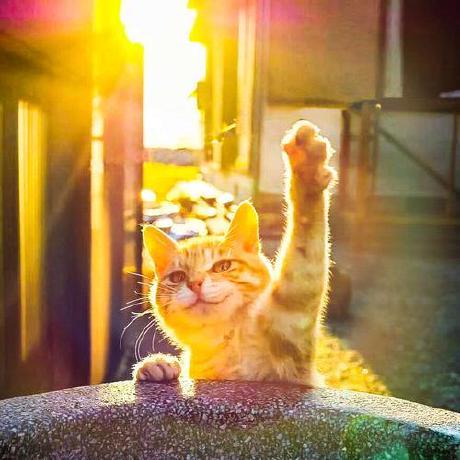 Yyckdy Yanyang Github - Premium Dark Background Gallery - 4K