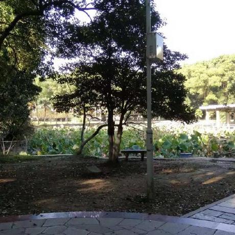 Github C Bj C Bj Cai Bingjun S Github Profile - Gradient Pictures - Modern Full HD Collection