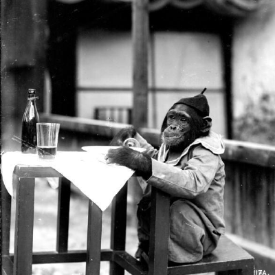 Github Coqui Ai Stt Examples Stt Integration Examples - Landscape Pictures - Classic Full HD Collection