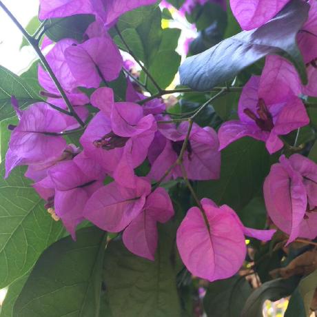 Github Esma Esmiz Software Tools And Practice 2016 - Elegant City Texture - Full HD