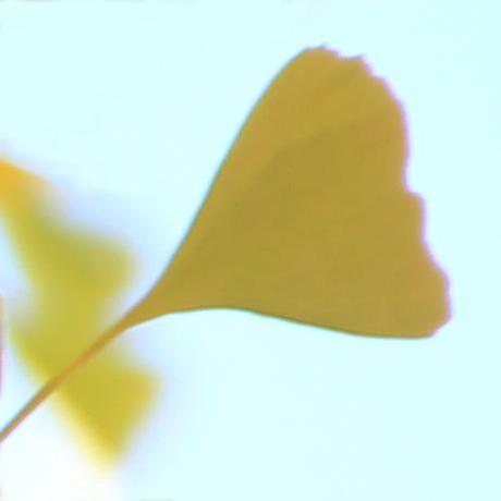 Package Cache Issue 37 Ruikuan Blog Github - Best Landscape Illustrations in 4K