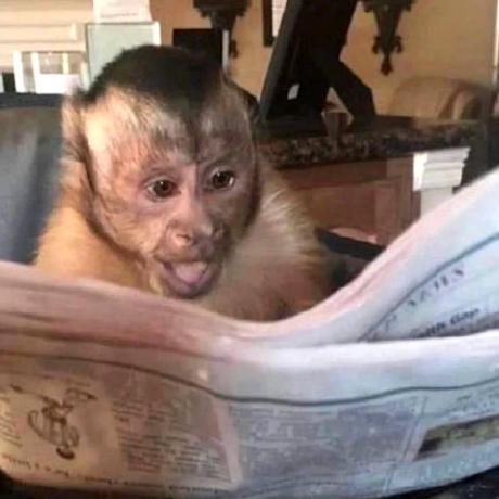 Github Hanifekeskin Waterfallspectrumdisplay - Amazing Mobile Light Backgrounds | Free Download