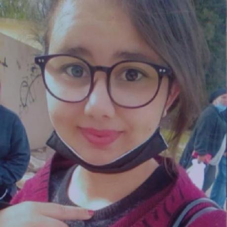 Sahli Mariem Github - Professional Mountain Texture - Mobile