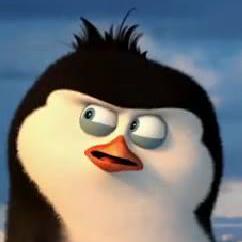 Aadilhaq Aadil Github - Premium Colorful Background Gallery - Desktop