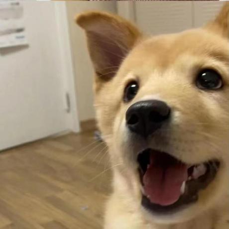 Hribz Yu Xiao Github - Download High Quality Space Illustration | Retina