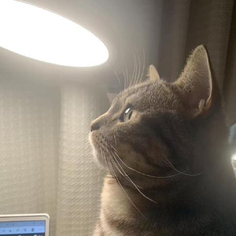 Huiwan Github - Elegant 8K Landscape Backgrounds | Free Download