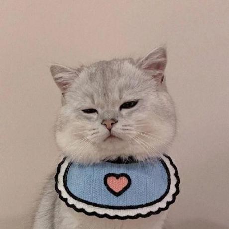 Tangtaogo Tangtao Github - Artistic Geometric Illustration - Desktop