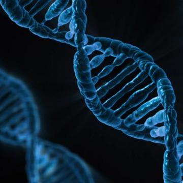 Genomeannotation Github - Artistic Gradient Background - Full HD