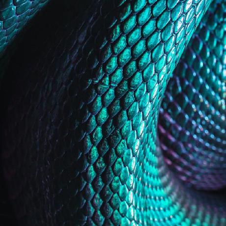 Munteanooo Muntean Sergiu Github - Artistic 8K Colorful Pictures | Free Download