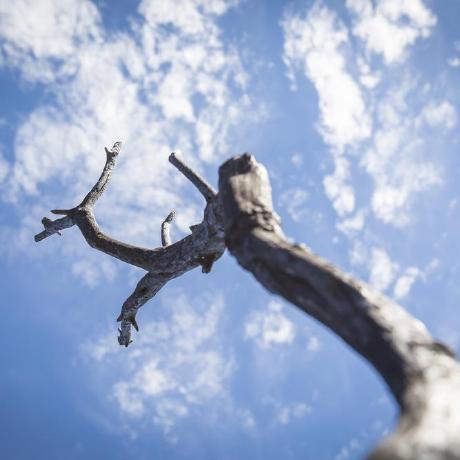 Github Fire And Dryland Ecosystems Lab Tutorials Tutorials For - Amazing Ocean Design - Mobile