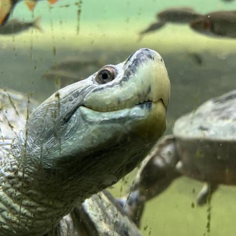 Kyranz Kyran Armelin Brunelli Github - Download Ultra HD Space Texture | HD