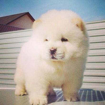 Github Yaocun1999 Learn - City Backgrounds - Gorgeous 8K Collection