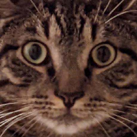 Github Elliott With The Longest Name On Github Awesome Date Dimension - Elegant Desktop Colorful Textures | Free Download