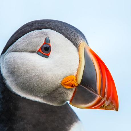 Github Aubrey Lyu Br Project - Artistic Full HD Light Illustrations | Free Download