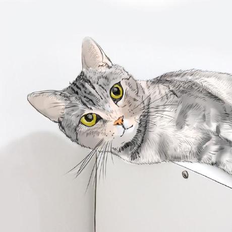 Github Pqpo Aipoet Android - Download Gorgeous Light Illustration | HD