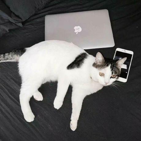 Github Geek 0x4thk Website Screenshot - Best Ocean Wallpapers in HD