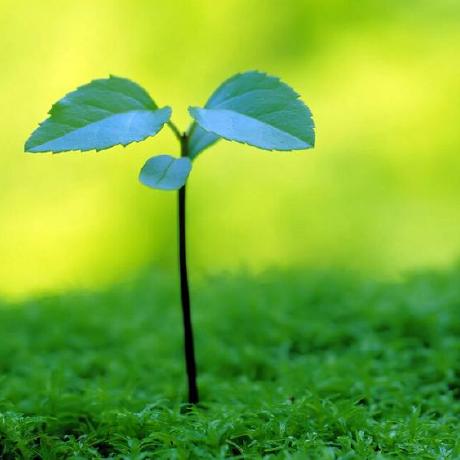 Lincoln S A Github - Beautiful HD Sunset Images | Free Download