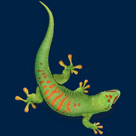 Github Nusretipek Vadersentiment Jl Vadersentiment Is Implementation - Premium Nature Photo Gallery - 8K