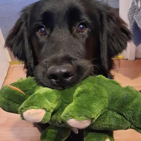 Disable Elytra Boosting Minecraft Mod - Gradient Patterns - Incredible High Resolution Collection