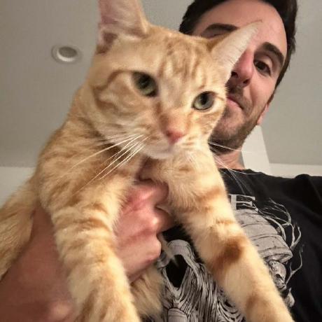 Github Googlecreativelab Morse Learn A Fun Little Web App To Help - Full HD Mountain Patterns for Desktop