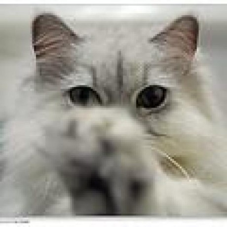 Cassandra Casablanca Github - City Texture Collection - Desktop Quality