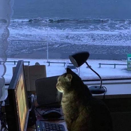 Github Intimetec Vartika Jain Learn And Code 2023 - Ultra HD Light Image - HD