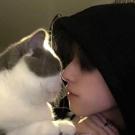 Har Zheng Github - Best Mountain Wallpapers in Ultra HD