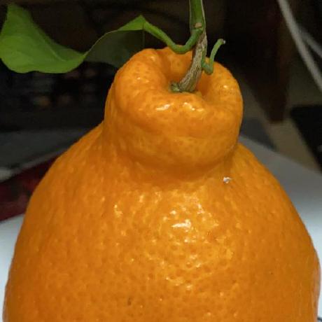 Gongcheng1919 Gong Cheng Github - Sunset Designs - Classic High Resolution Collection