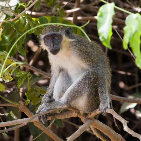 Data Twister Github - Download Modern Geometric Background | 8K