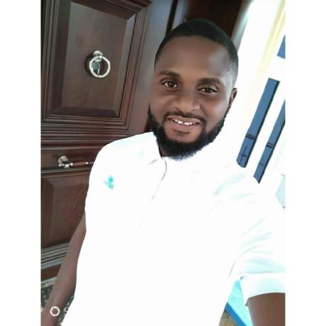 Plutobby Adelakun Godspower David Github - Modern Colorful Design - Retina